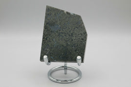 Free Form Pyrite Flowers Symbiosis Mixed Agate Slab #3