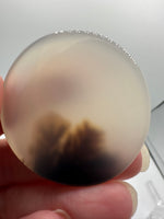 Designer Dendritic Agate Cabochon #7