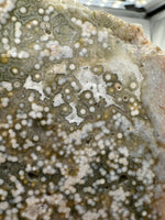 8th Vein Ocean Jasper Slab #8