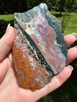 8th Vein Ocean Jasper Slab #95