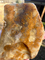Savannah River Agate Specimen 1j