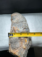 Large Polished Agate with Druzy