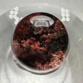High Quality Garden Quartz Sphere #19