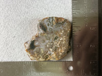 8th Vein Ocean Jasper Slab #128