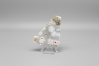 8th Vein Ocean Jasper Polished Free Form #27