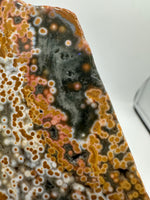 8th Vein Ocean Jasper Slab #24