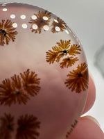 Scenic Dendritic Agate Cabochon #2