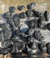 Natural Black Vietnam Tektite (medium)