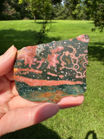 8th Vein Ocean Jasper Slab #114