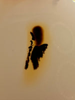Designer Dendritic Agate Cabochon #10