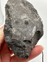 Natural Orthoceras Fossil Specimen #21