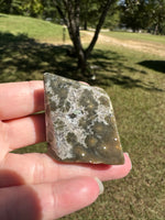 Ocean Jasper Free-form #14