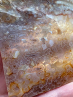 8th Vein Ocean Jasper Slab #66