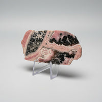 Rhodochrosite Slab #12