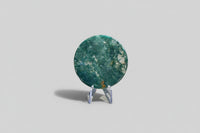 Moss Agate Polished Round Slice #17