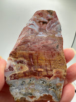 8th Vein Ocean Jasper Slab #53