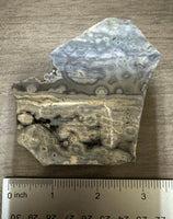 8th Vein Ocean Jasper Slab #61