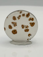 Scenic Dendritic Agate Cabochon #5