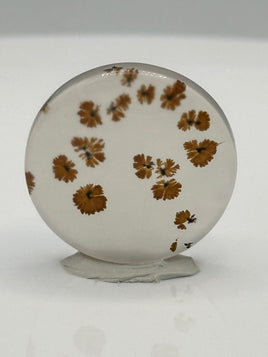 Scenic Dendritic Agate Cabochon #5