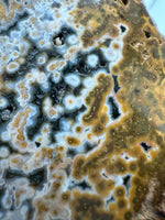 8th Vein Ocean Jasper Slab #40