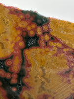 8th Vein Ocean Jasper Slab #63