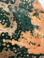 8th Vein Ocean Jasper Slab #44