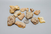 Lot of Copal Specimens from Mexico
