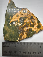 8th Vein Ocean Jasper Slab #135