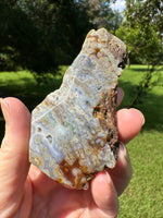 8th Vein Ocean Jasper Slab #115
