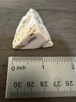 8th Vein Ocean Jasper Polished Free Form #26