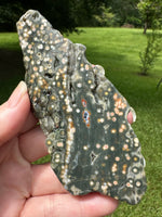 8th Vein Ocean Jasper Slab #35