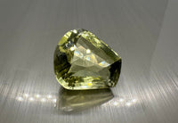 Fancy Checker Prasiolite 20x18mm 28.70ct