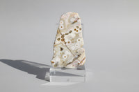 8th Vein Ocean Jasper Polished Free Form #9