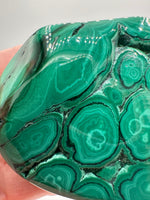Polished Malachite Freeform Zaire, Africa #8