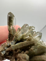 Chlorite Included Himalaya Quartz Crystal from Pakistan