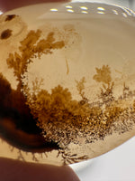 Designer Dendritic Agate Cabochon #6