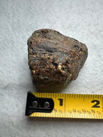 Madagascar Raw Amber Specimen #3