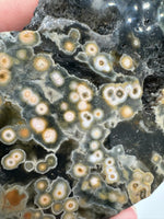 8th Vein Ocean Jasper Slab #19