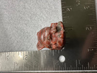 Brecciated Jasper Nine-tailed Fox