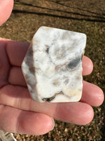 6th Vein Ocean Jasper Polished Freeform #49