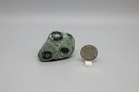 Kambaba Jasper Tumble #1