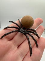 Spider with Jasper Sphere
