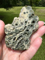 8th Vein Ocean Jasper Slab #67