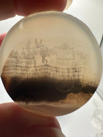 Designer Dendritic Agate Cabochon #12