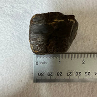 Raw Amber Specimen #8