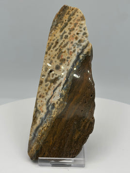 8th Vein Ocean Jasper Slab #15