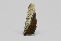 8th Vein Ocean Jasper Slab #15