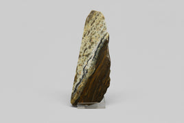 8th Vein Ocean Jasper Slab #15