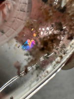 Beautiful Seahorse Garden Quartz Inner Scene with Rainbow Carving #12
