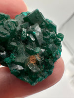 Green Dioptase from Reneville, DR Congo Specimen #2